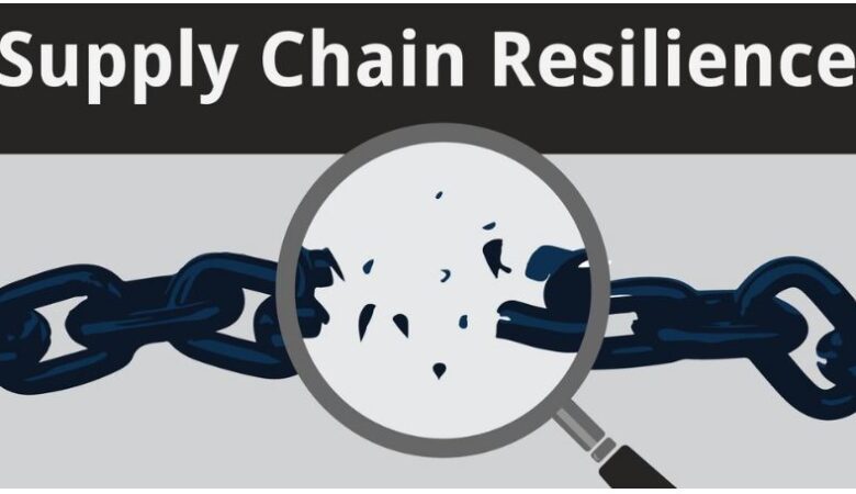 Ecommerce Resilience: Supply Chain Lessons from Top Retailers to Amazon Sellers