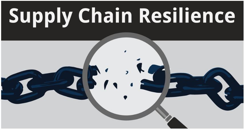 Ecommerce supply chain resilience 2025 strategies for Amazon sellers